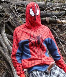 secret spiderman 5daf60fc01e7d.jpg