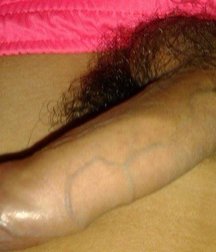 cocks all different but in erection 5db5f443bbf60.jpg