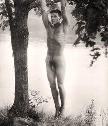 images from the past century 5dbc60f859b47.jpg