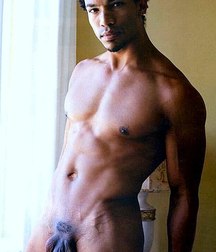 black wonder 5dc565a22cd24.jpg