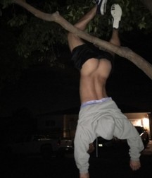 be careful: don't fall off the tree 5dcb27de9afe7.jpg