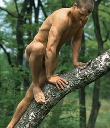 be careful: don't fall off the tree 5dcb28242ddb3.jpg