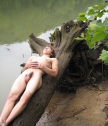 be careful: don't fall off the tree 5dcb2835ba4ab.jpg