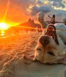 enchanted sunsets 5dcbf3ff8f113.jpg