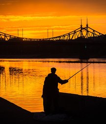 enchanted sunsets 5dcbf410f00c0.jpg