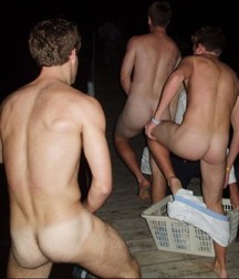 asses and asses 5dcc709a1e93c.jpg