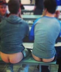 asses and asses 5dcc70aa60b4c.jpg