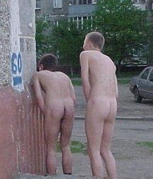 asses and asses 5dcc70b0db539.jpg