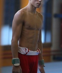 the fantastic world of artistic gymnastics 5dceb6ae97036.jpg