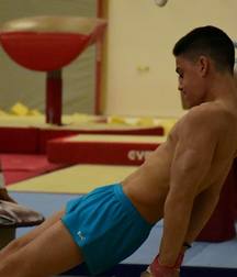 the fantastic world of artistic gymnastics 5dceb6bf36e50.jpg