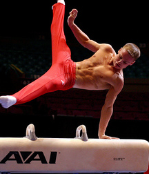 the fantastic world of artistic gymnastics 5dceb6cfcd5c6.jpg