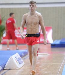the fantastic world of artistic gymnastics 5dceb6d50ef13.jpg