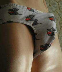 opss !. the hidden erection 5dd1447af3c8a.jpg