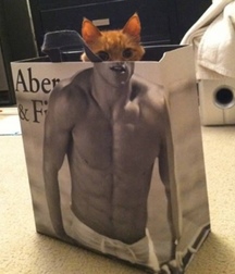 funny  5ddea60caa023.jpg