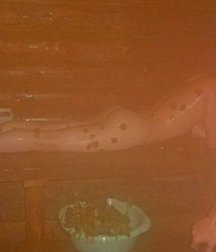 straight boys in sauna 5ddea696b2985.jpg