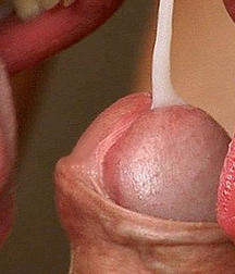the sweet cream 5de6a2bf0c0e1.jpg
