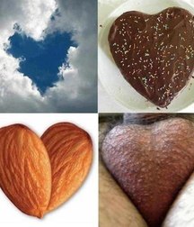 funny pictures 5dea53f34b40e.jpg