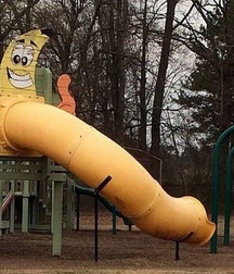 funny pictures 5dea53fad6591.jpg