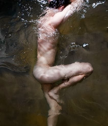 the cock soaked in water 5df392e9025d4.png