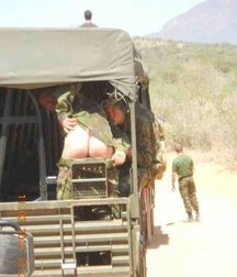 the great military maneuvers 5dff204c0f143.jpg