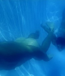 the inhabitants of Atlantis 5dff209bdd580.jpg