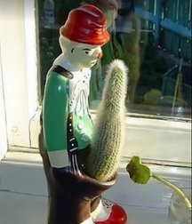 strange things in the world 5e021f4fb9630.jpg