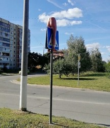 strange things in the world 5e021f52cd5eb.jpg