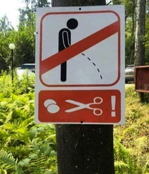 strange things in the world