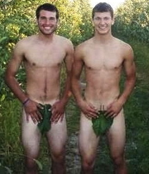 Adam's fig leaf