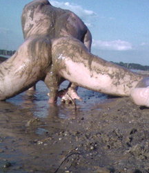 naked but covered in mud 5e13604b11e8e.jpg