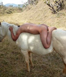 boys and horses young twink porn 5e18d0c19c1a5.jpg