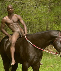 boys and horses young twink porn 5e18d0c7da602.jpg