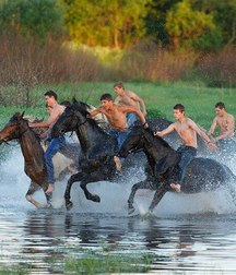 boys and horses young twink porn 5e18d0cc41b40.jpg