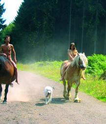 boys and horses young twink porn 5e18d0d33bf80.jpg