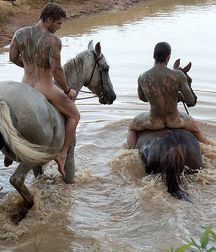 boys and horses young twink porn 5e18d0e0cc0dd.jpg