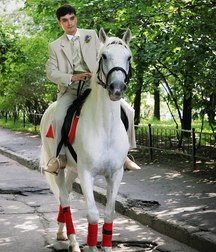 boys and horses young twink porn 5e18d0e2bb2d1.jpg