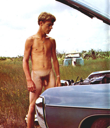 boys like cars 5e1b647ba0501.png