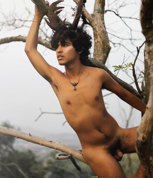 the boy on the tree 5e2b5773b5f20.jpg