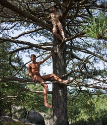 the boy on the tree 5e2b579b97245.jpg