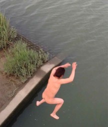 dive into freedom 5e2f39f823003.jpg