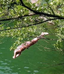 dive into freedom 5e2f3a013972c.jpg
