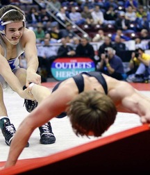 fight and wrestlers 5e3310ebcc3f0.jpg