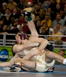 fight and wrestlers 5e33111415962.jpg