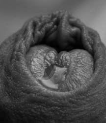 black white and nude 5e33121ad8b25.jpg