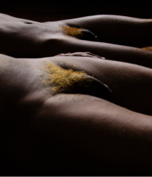 the body is art 5e348108c39c0.png