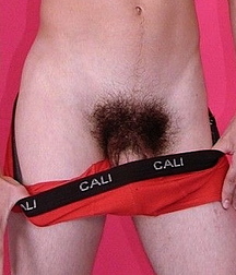 soft black fur - boy porn pubs  5e38881756e26.jpg