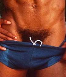 soft black fur - boy porn pubs  5e38882d7b8b6.jpg