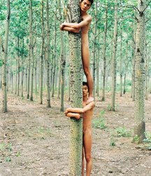 funny nudity 5e45a1072d6ad.jpg