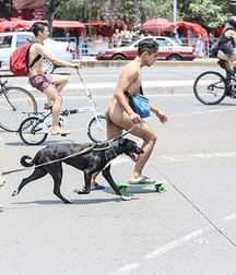 a nice day cycling 5e49998142efe.jpg