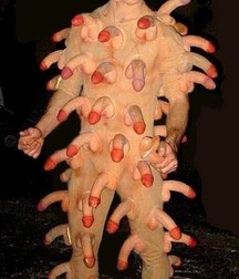 funny photos from the world 5e6fc1010b5dd.jpg
